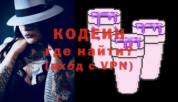 метадон Инта