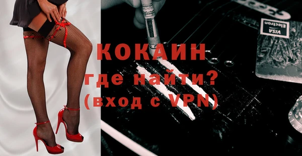 сатива Иннополис