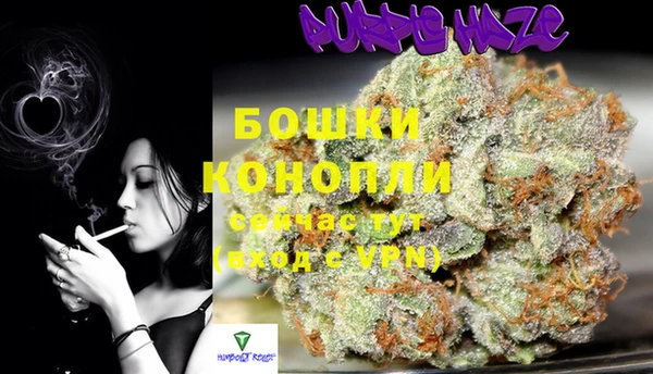 метадон Инта