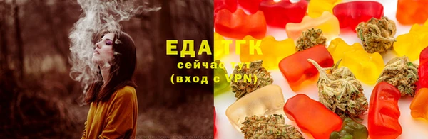 сатива Иннополис