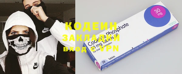 метадон Инта