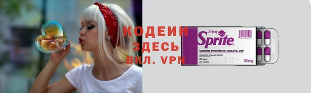 сатива Иннополис