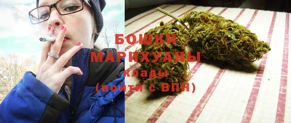 метадон Инта