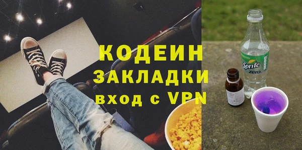 сатива Иннополис