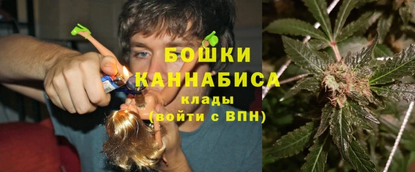 сатива Иннополис