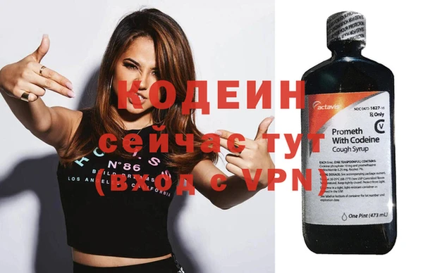 сатива Иннополис