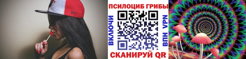 Купить где Жуковка Галлюциногенные грибы Cubensis